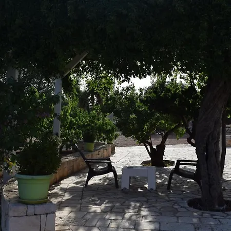 Dimore Storiche - Ulivo Di Aldo * Martina Franca