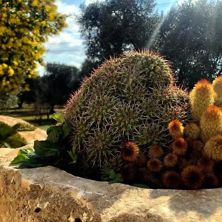 Dimore Storiche - Ulivo Di Aldo