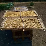Kır Evi Dimore Storiche - Ulivo Di Aldo