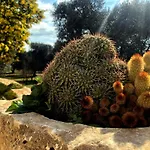 Dimore Storiche - Ulivo Di Aldo
