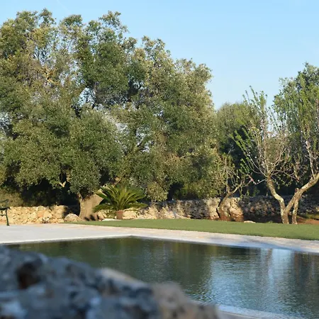 Dimore Storiche - Ulivo Di Aldo * Martina Franca