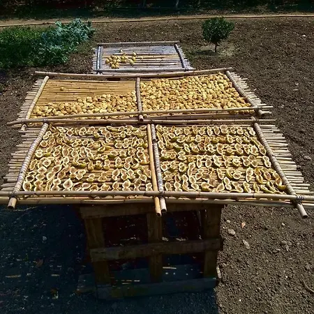 Country house Dimore Storiche - Ulivo Di Aldo