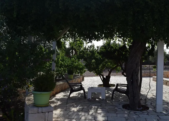 Dimore Storiche - Ulivo Di Aldo * Martina Franca